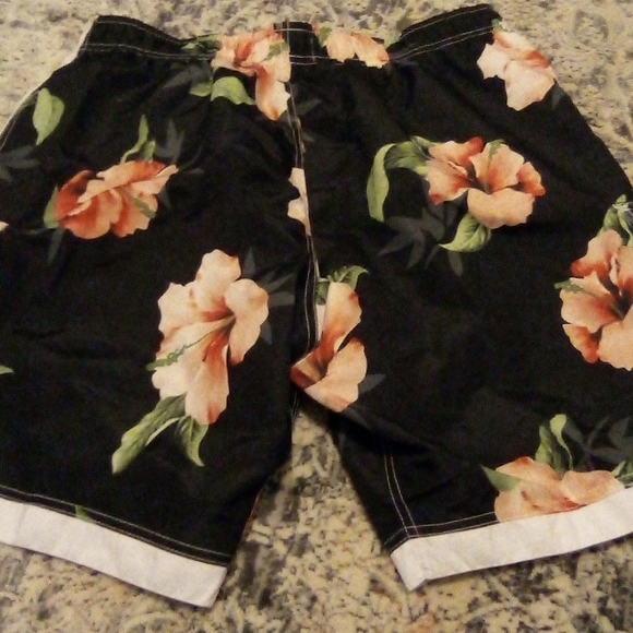 Mens Inger Swim Shorts - Picture 4 of 6